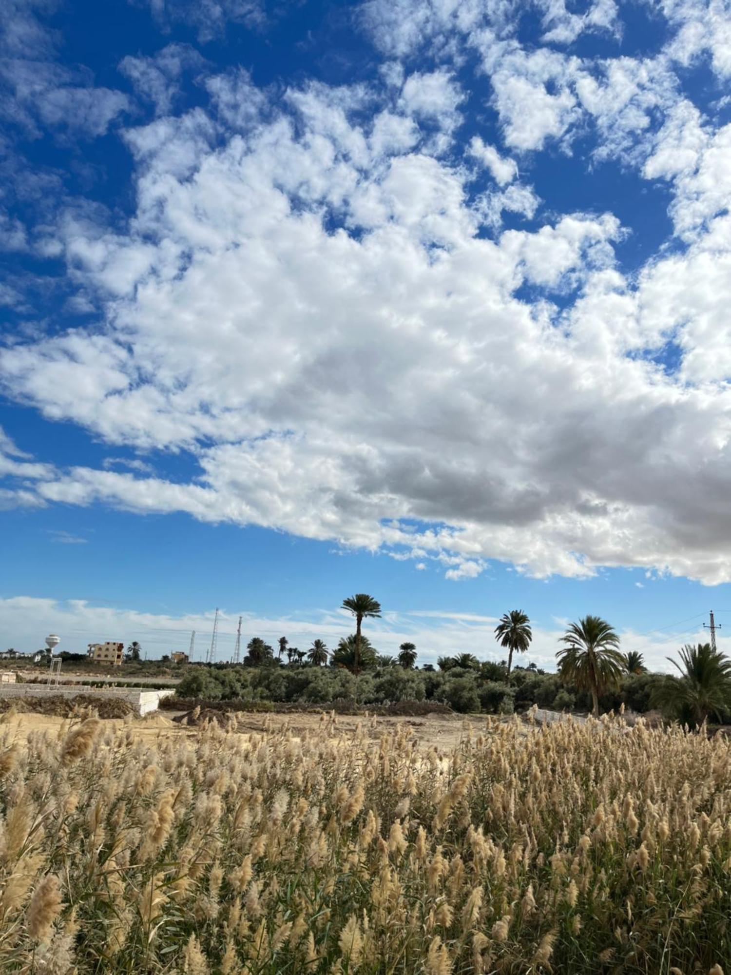 Lake House By Tunisia Green Resort Qaryat at Ta'mir as Siyahiyah Exterior foto